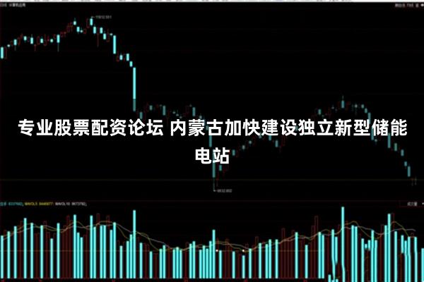 专业股票配资论坛 内蒙古加快建设独立新型储能电站